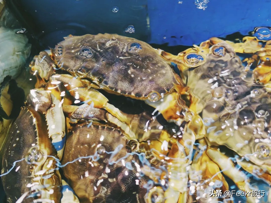 苍南早餐美食,苍南早餐