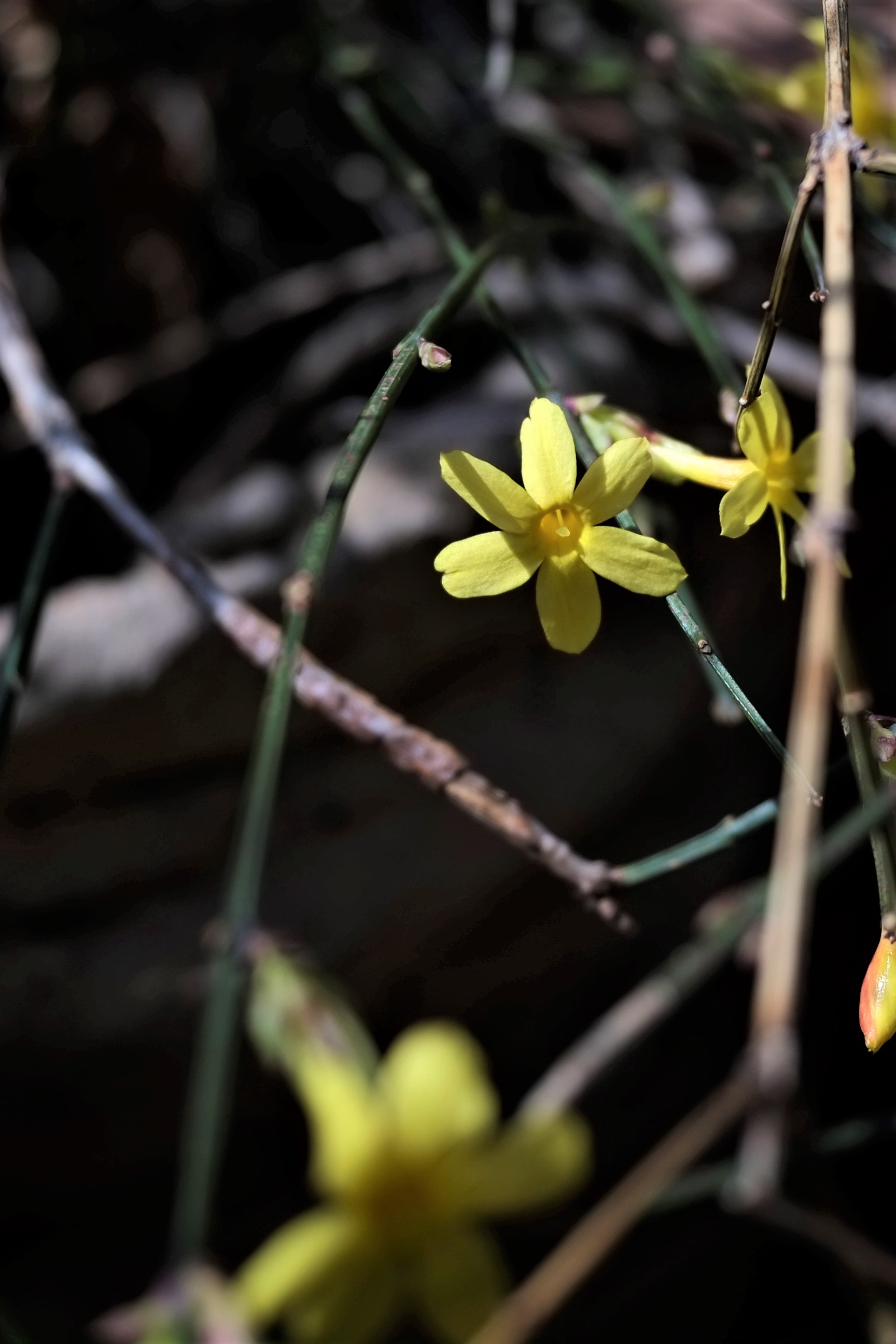 「老相机」照片中毒/二手富士X-PRO1+七工匠25mmF1.8的魅力