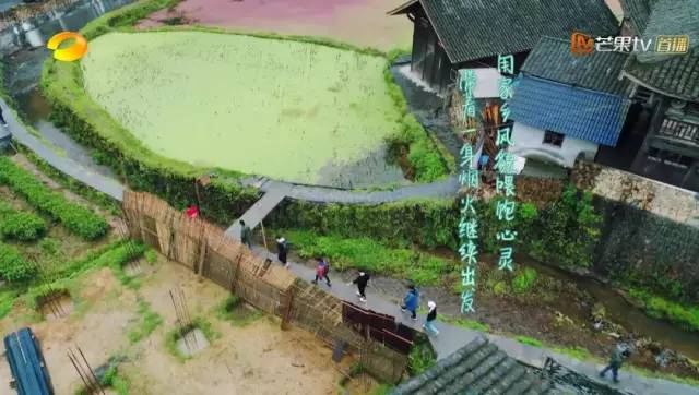 抖音最火走心的句子2022爆款文案,2021年简短走心句子新年高端文案