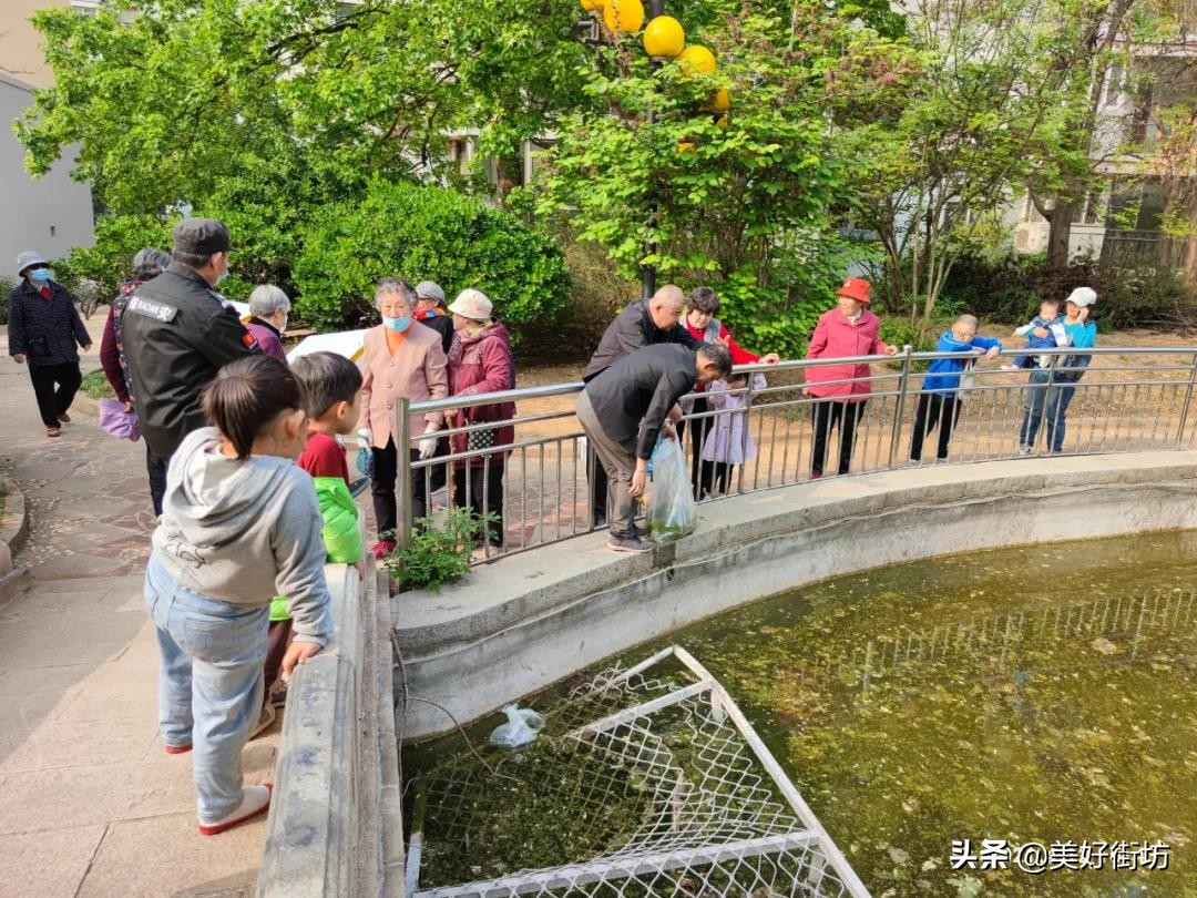 净化社区清道夫,社区绿色环保工作