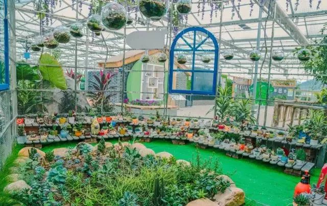 惠州罗浮山酥醪景区盆菜,罗浮山盆菜