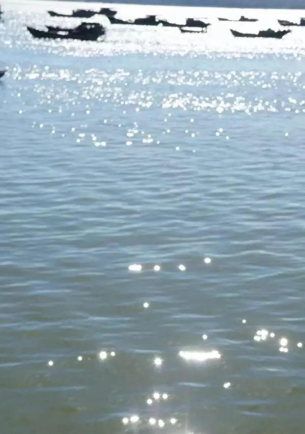 一线特稿:*江阳**“船”说