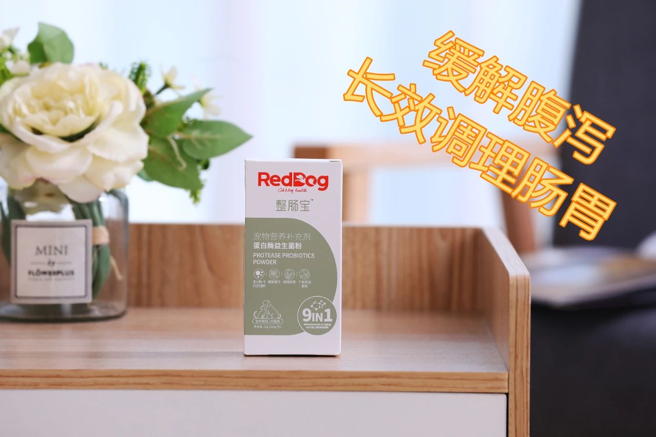 主人拉肚子了小猫咪会怎么办,猫主子拉稀