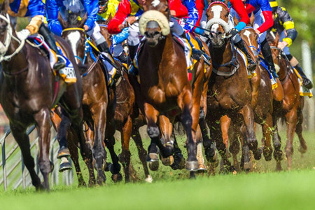 体坛五大争议人物,体坛十大真实事件