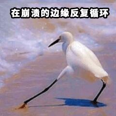 不找代购也原价买日货,不找代购也原价买到日货怎么办