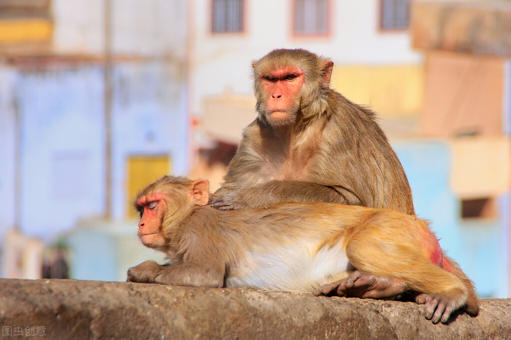 尼泊尔首都哪里最好,盘点所有的尼泊尔