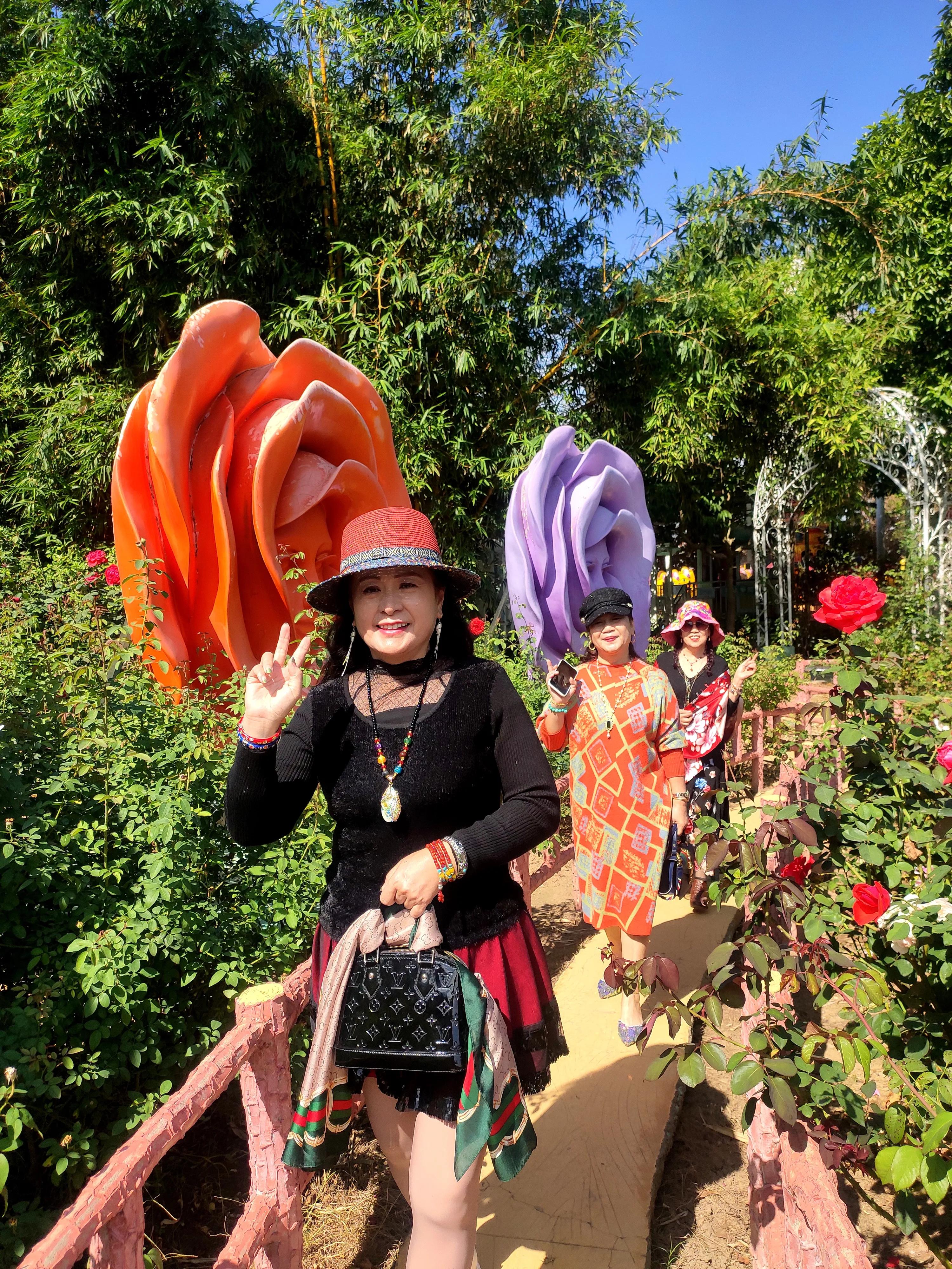 南沙好玩的地方百万葵园,广州南沙百万葵园几月份去最好