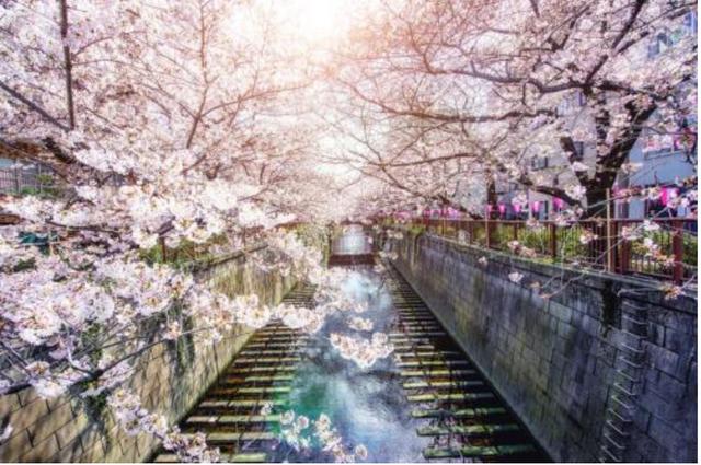 日本旅游购买什么刮胡刀,去日本必买的三样东西