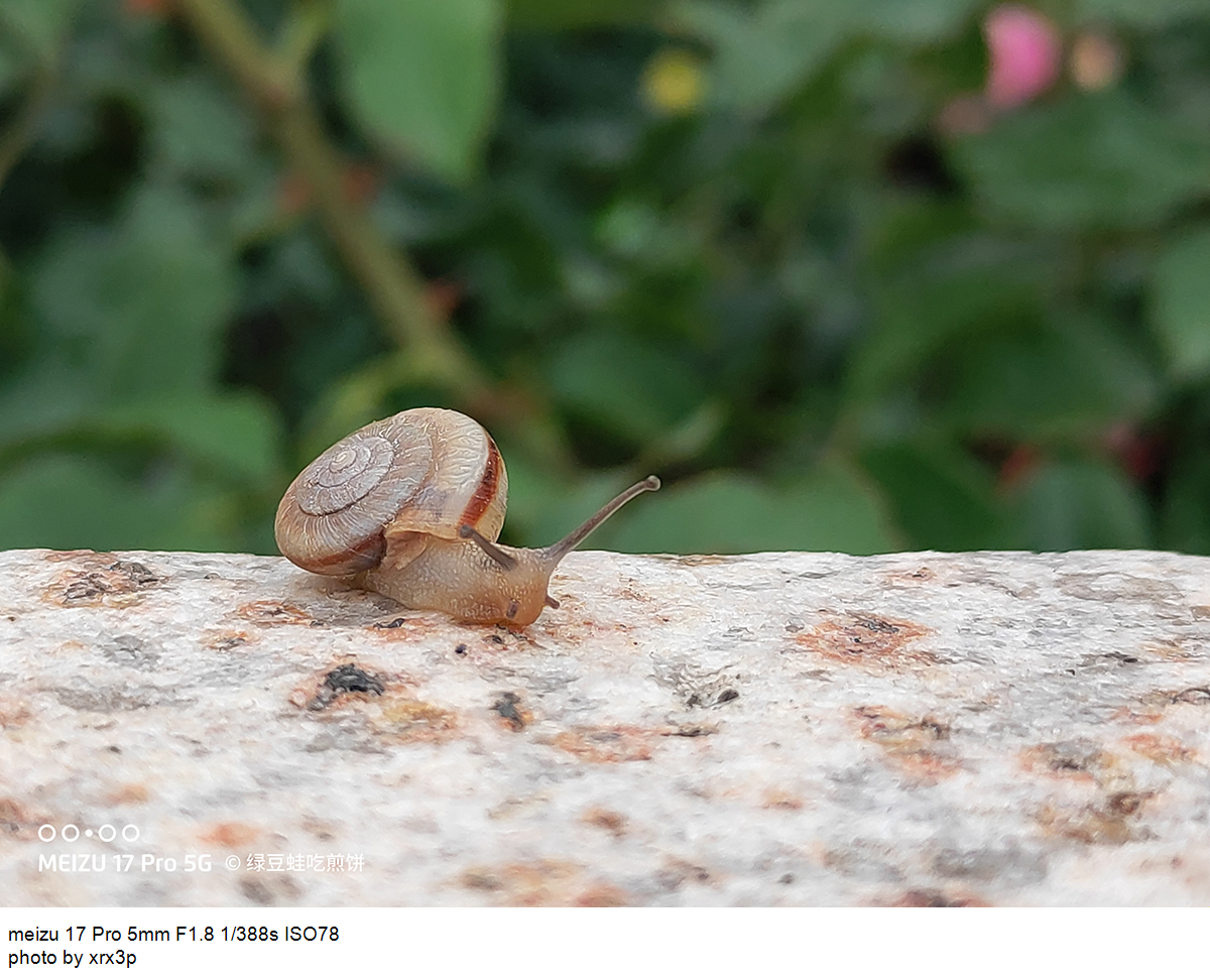 魅族17pro拍照怎么用,魅族17pro拍照体验