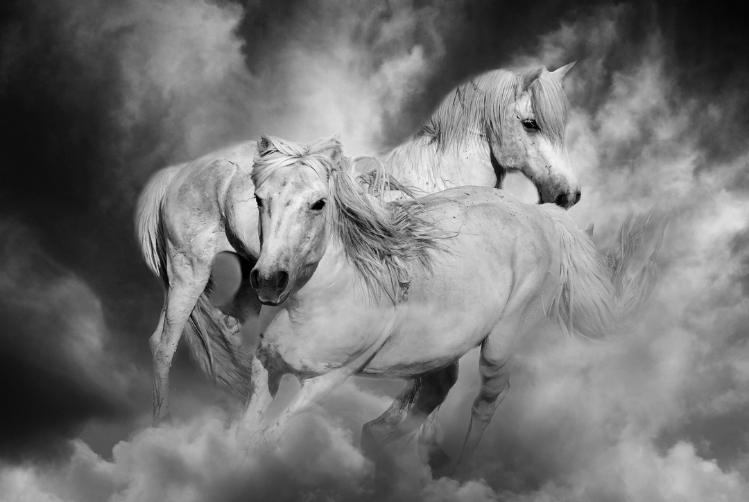 拍马都追不上的成语,拍马都赶不上的成语