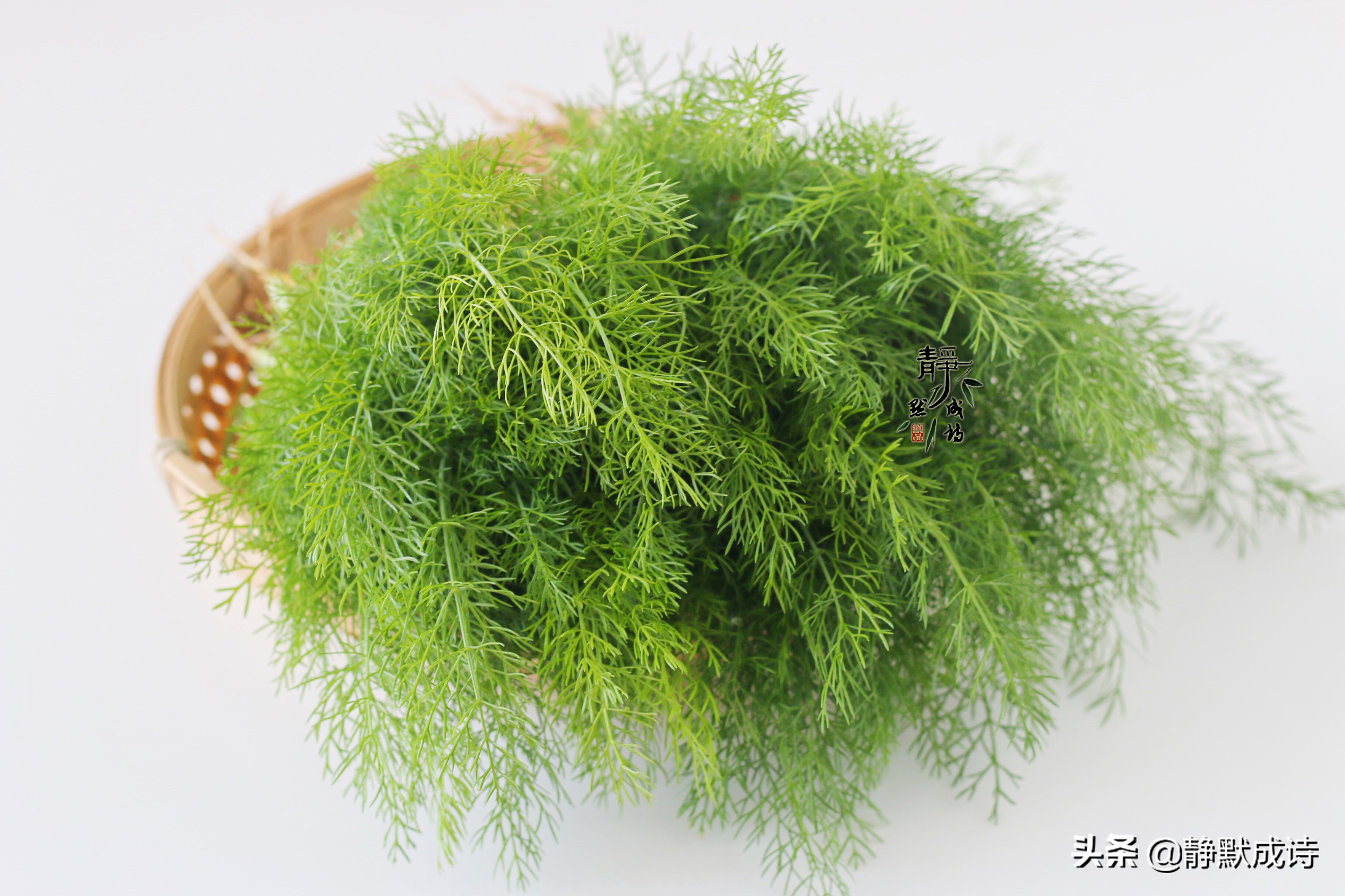 春天啥菜包饺子好吃,此菜软糯q弹