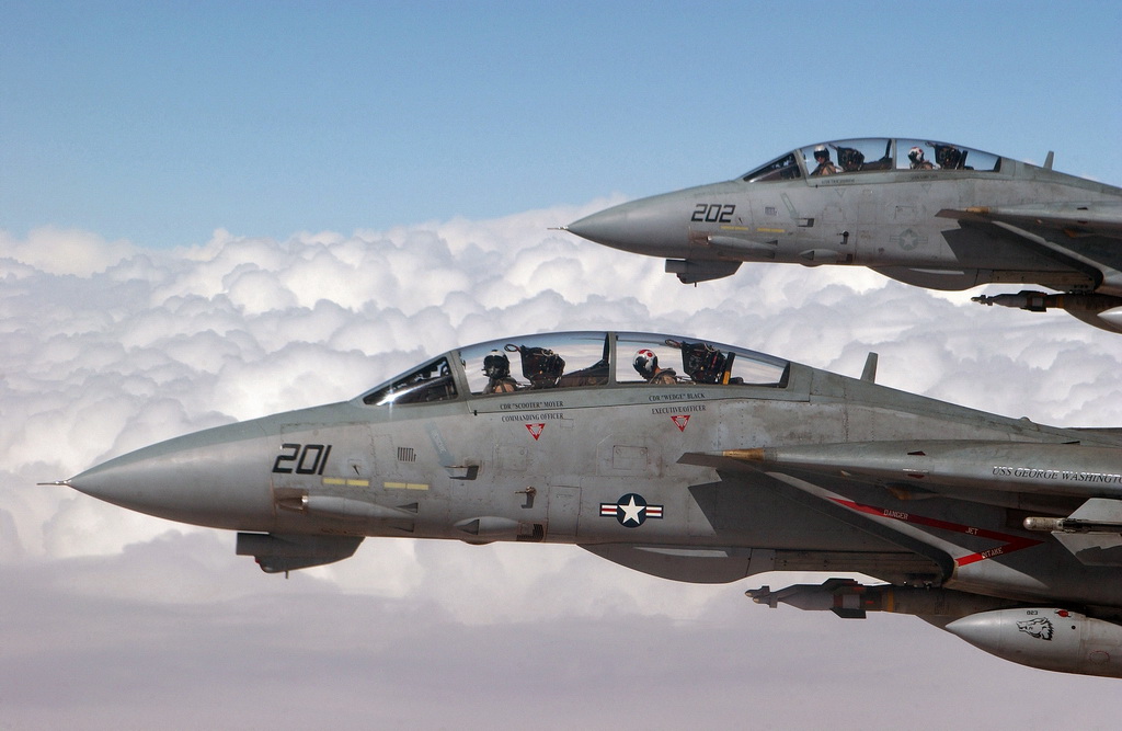 猫迷必备技能,F-14各型号的辨别