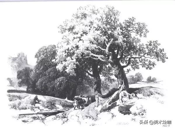 静物素描风景图临摹,简单又好画的彩铅素描风景图