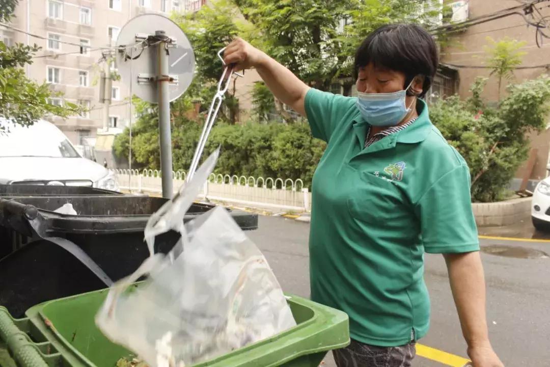 70年，不问冬夏，她们是最美的“城市黄玫瑰”