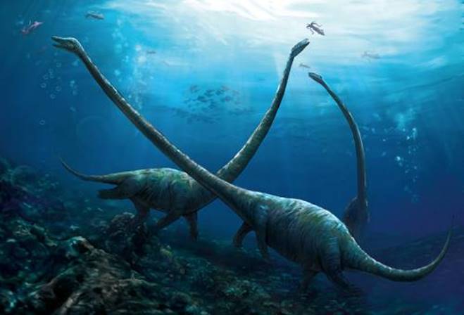 长颈龙为什么脖子那么长,长颈龙的演化过程