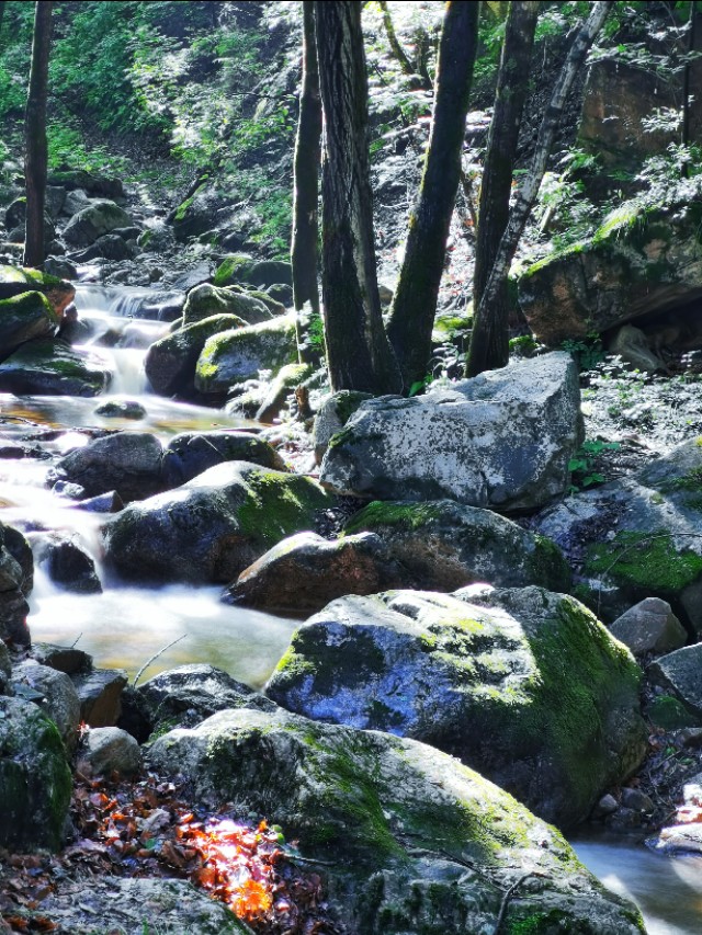 驼梁‖一处来了就会让你爱上的地方