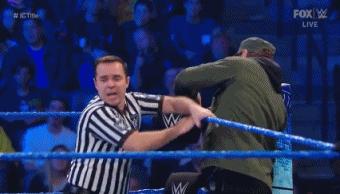 wwesd和raw所有选手,wwesd冠军腰带