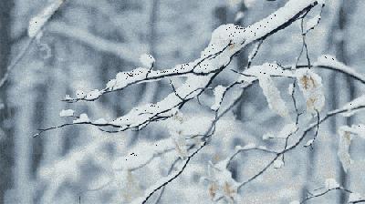 陈宝璐散文人生风景在路上,陈宝璐散文作家照片