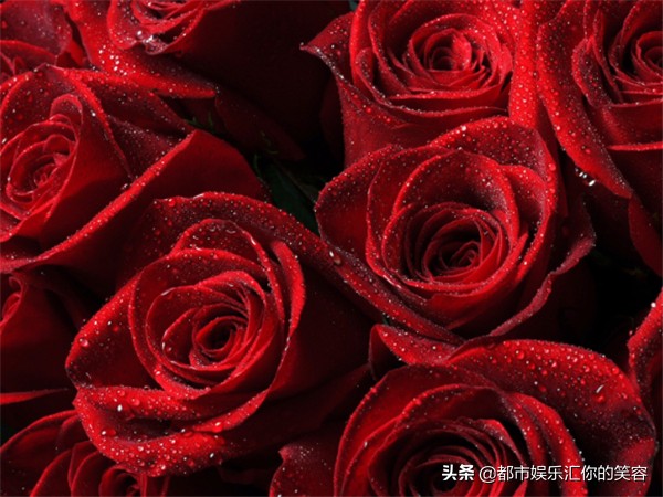 双鱼座越来越爱你的表现,爱上双鱼座的100个理由