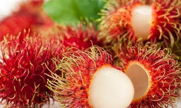 为什么就是离不开保亭？3大理由够不够