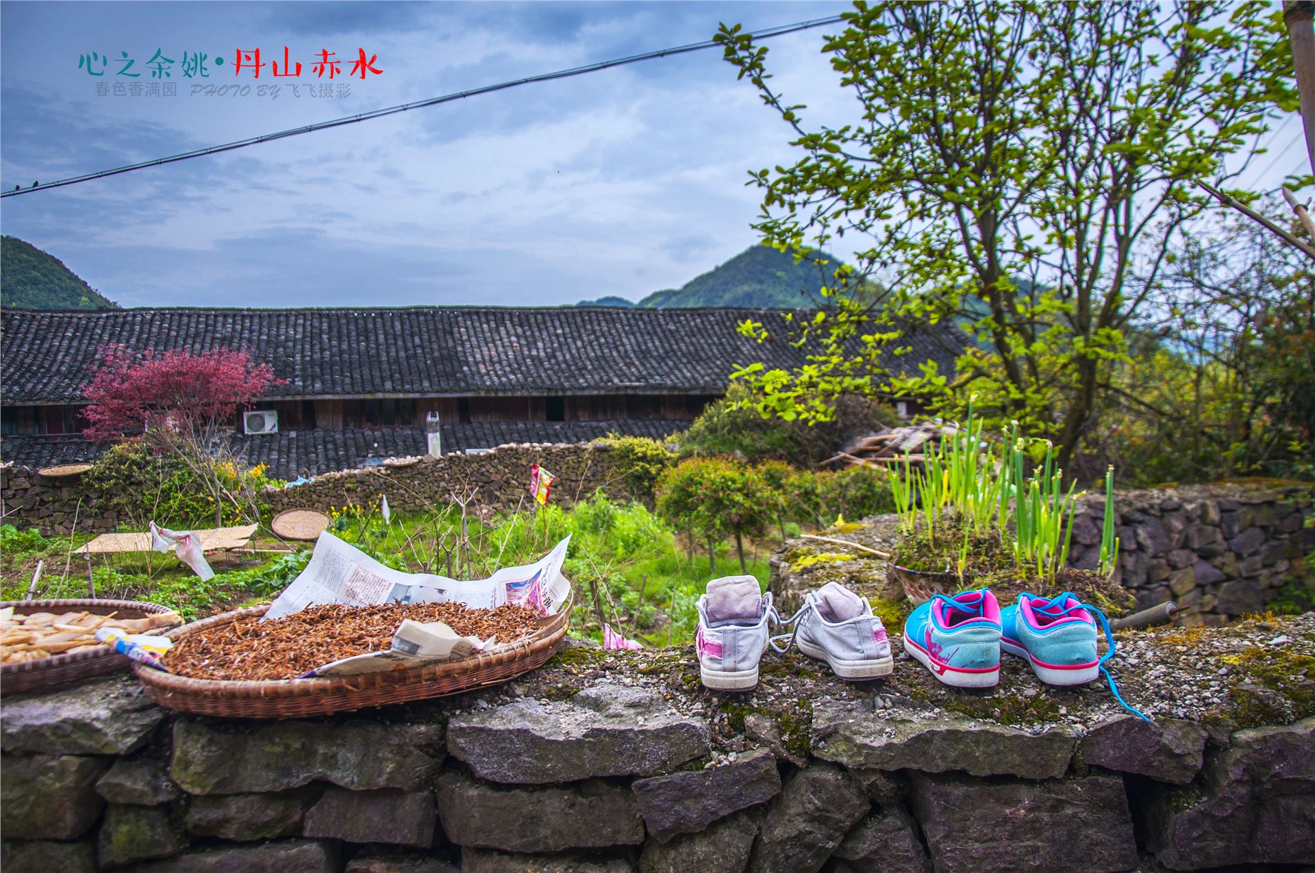 丹山赤水的老柿林景区,丹山赤水柿林古村