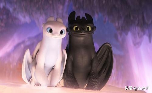 六角恐龙鱼和美西螈有区别吗,水族观赏六角恐龙