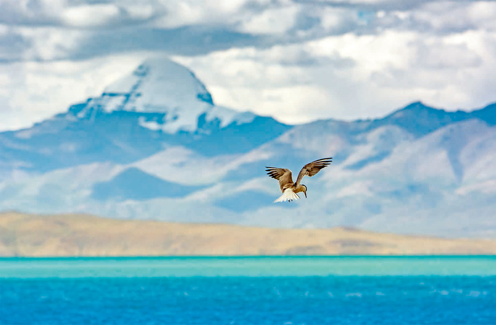 程斌摄影师,程斌摄影师作品