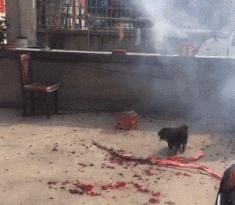 搞笑打电话说尴尬的私事,假装打电话幽默搞笑段子