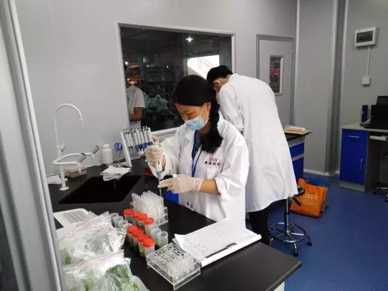 农药残留快速检测国家标准gb2003,农药残留检验检测部门