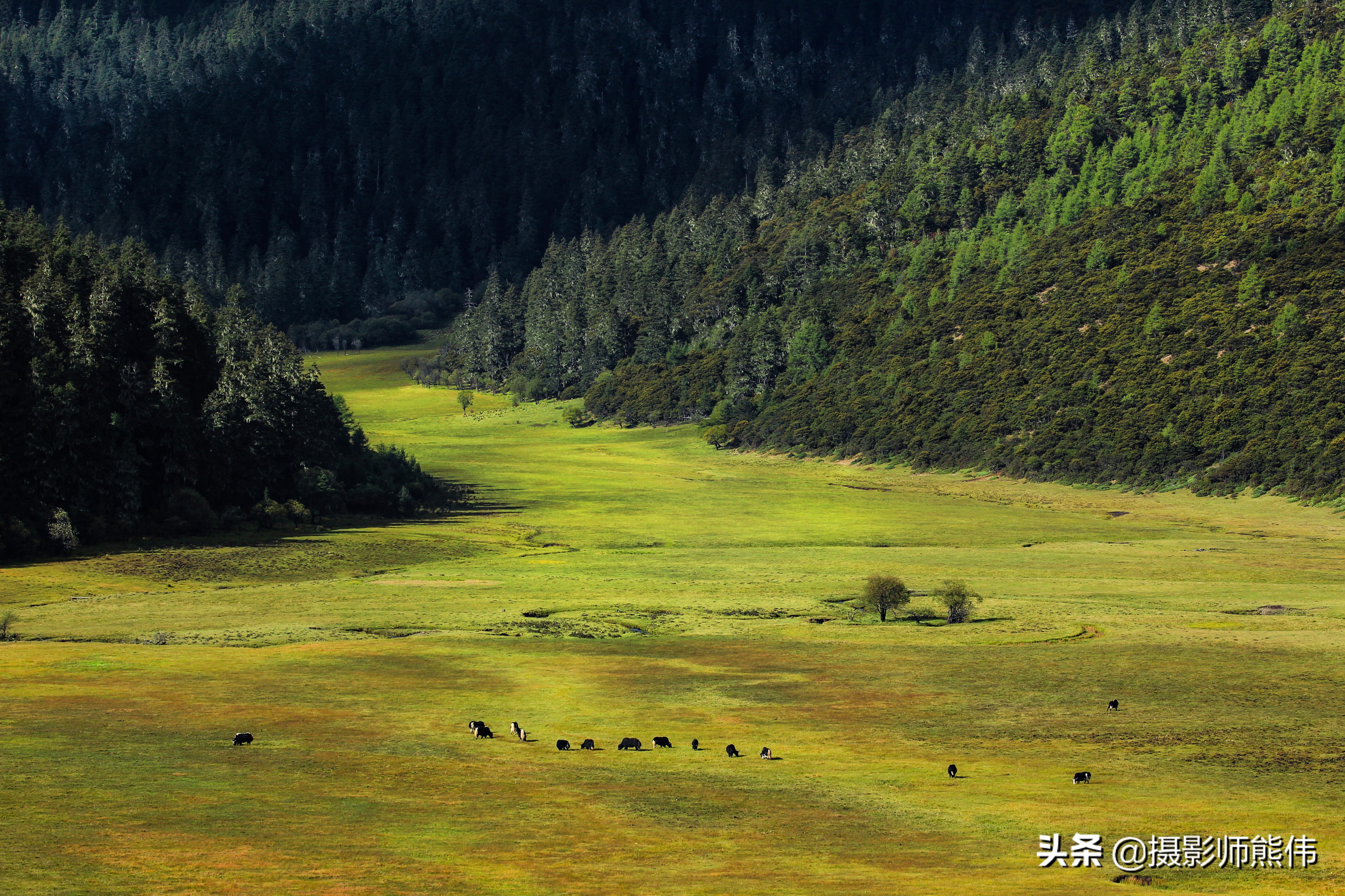 美丽静谧的香格里拉,香格里拉极境之美