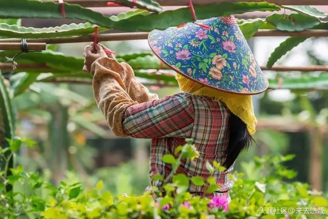 海南省临高县历史,海南临高风土人情