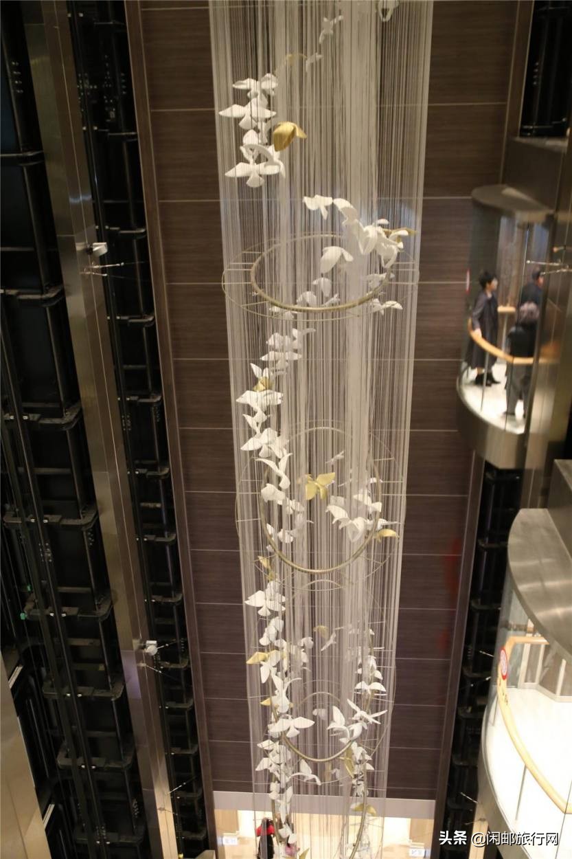 同仁健康筑梦远航2019.11.11海洋光谱号狂欢之旅