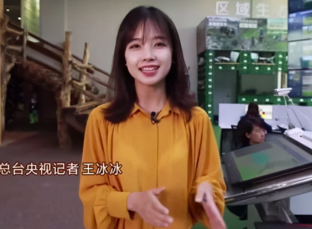 看央视电视剧,最萌主持人