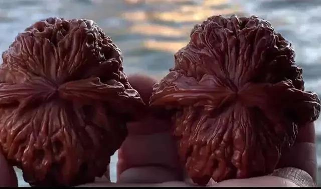 文玩老手与文玩新手的区别,适合文玩新手的十种入门级文玩