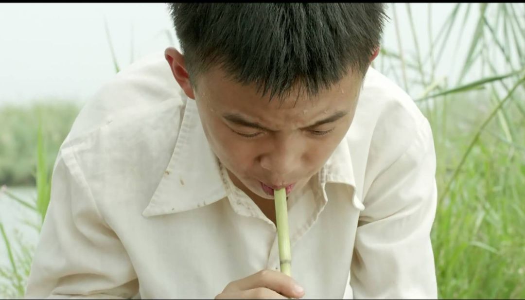 赵本山爱徒完整版文松,赵本山爱徒二胡