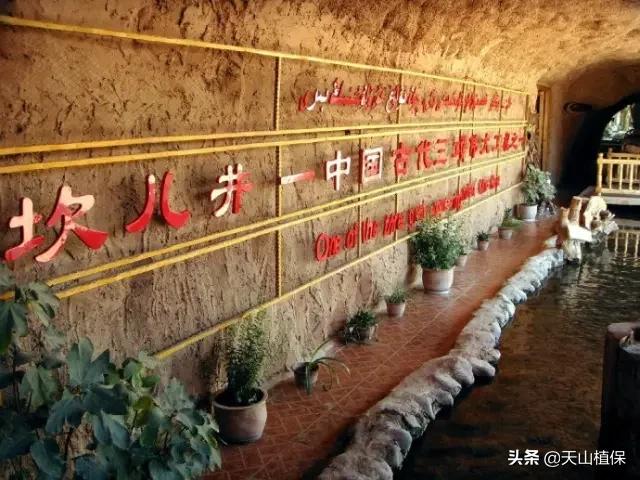 新疆有20个重要知识点,疆新