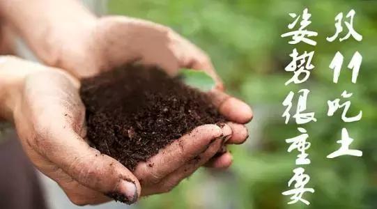 2021双十一各购物平台销售额,双十一销售额过亿商家