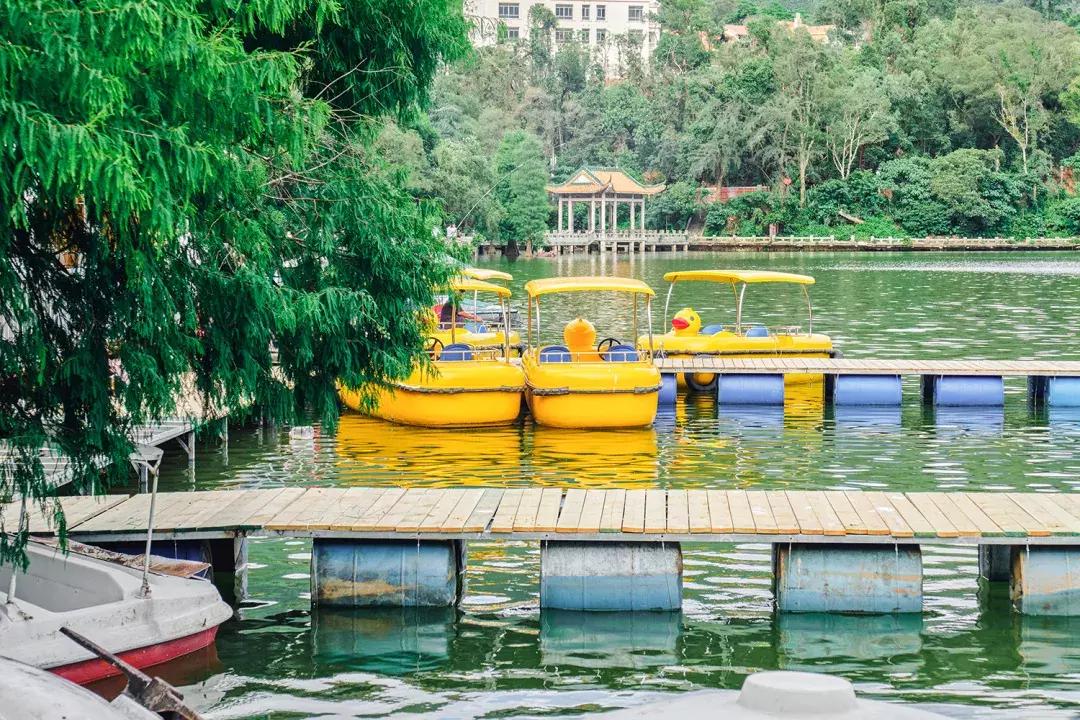 深圳银湖山游玩,深圳银湖有什么好玩的地方