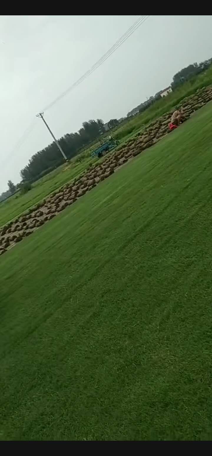 一个癌症患者的康复之路,抗癌创业之路