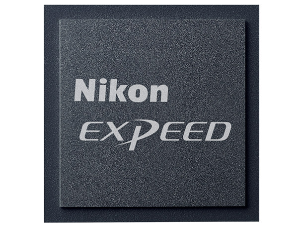 尼康Z50深度评测,尼康z50评测打鸟