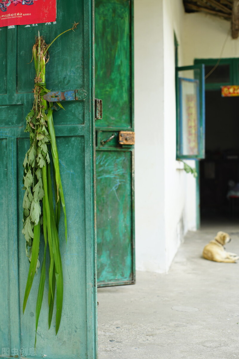 端午节割艾有什么讲究,端午节挂艾的讲究