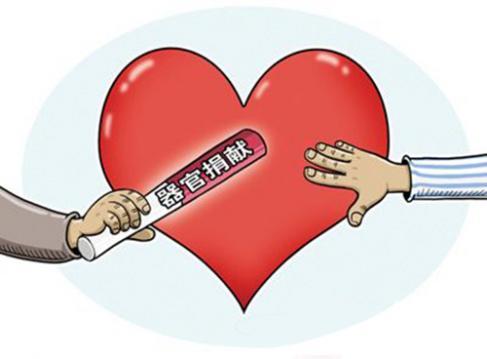 人体器官捐献者国家有什么优待,人体器官捐献者是怎样的人群