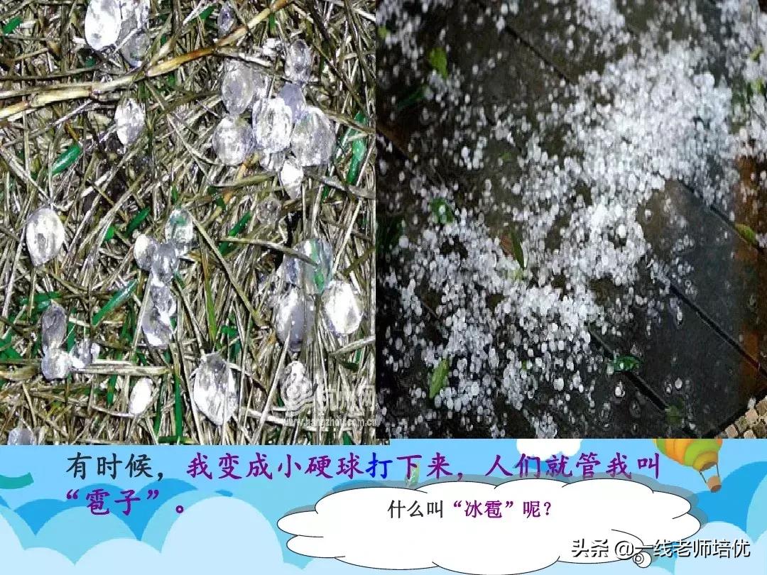 部编版二年级上册第二单元知识点,二年级语文上册我是什么知识点