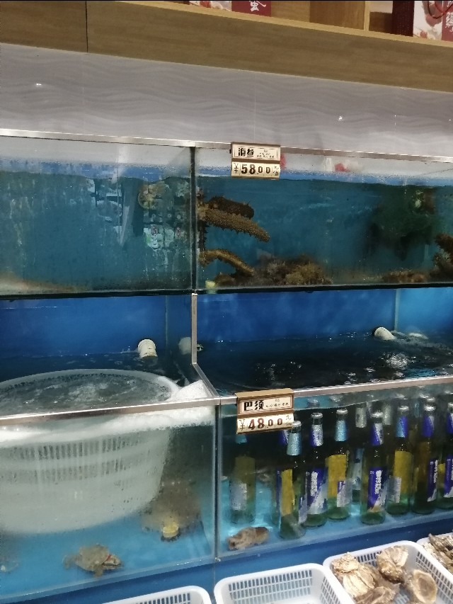 秦皇岛最好的海鲜餐厅,秦皇岛最受欢迎的海鲜餐厅