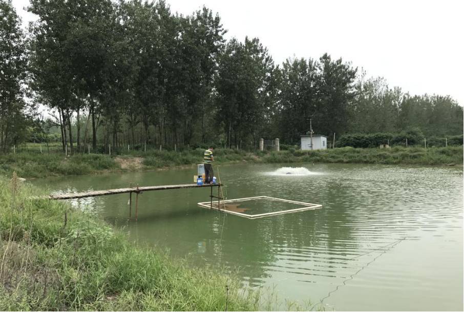 农村池塘养殖致富项目建设,自制池塘养殖致富项目