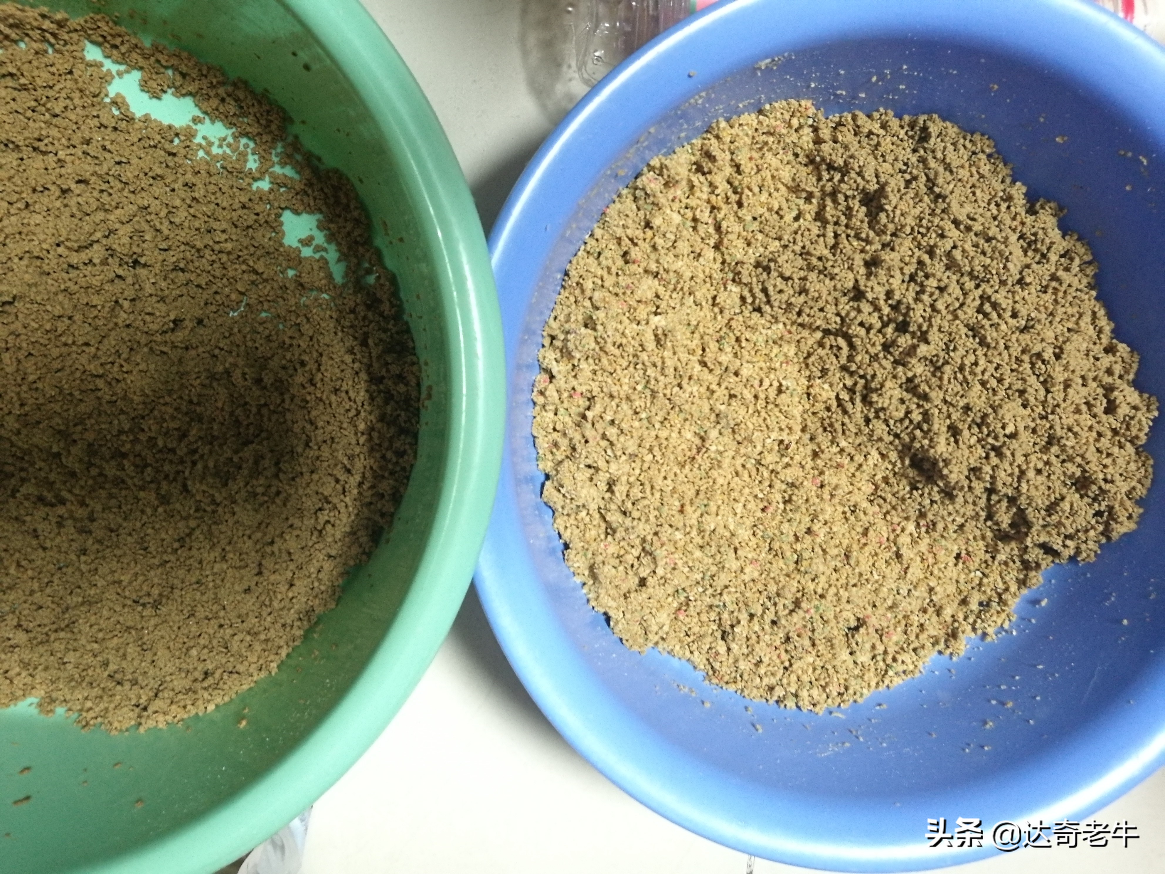 浮水颗粒喂鱼,怎么用浮水颗粒钓滑鱼