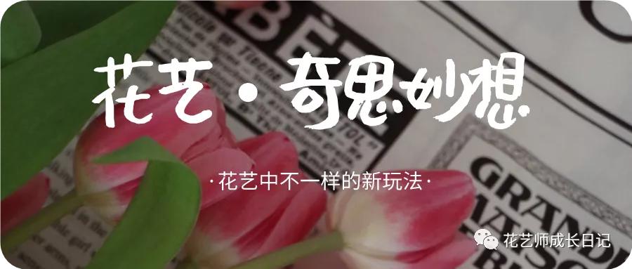 花艺奇思妙想郁金香,奇思妙想玫瑰花