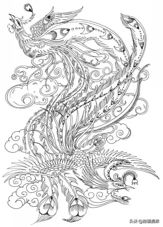 凤凰绘画中国风线稿,凤凰白描线稿特点