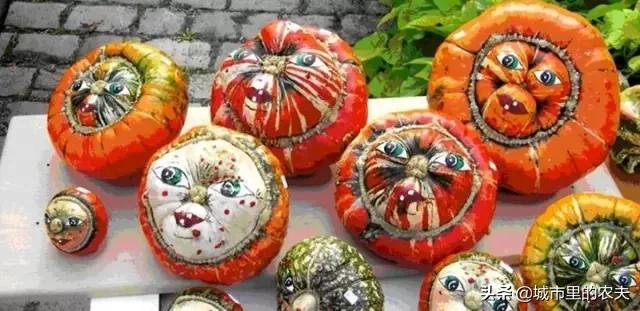 新农人创业的1000种方法,新农人生意思路和方法