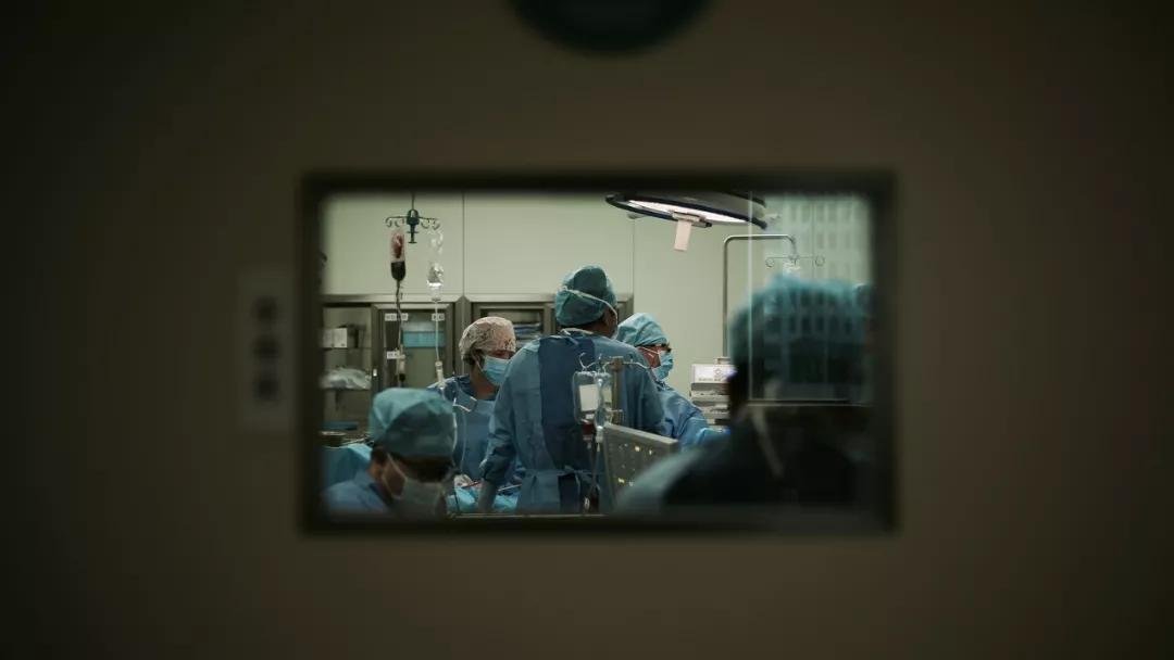 武汉流浪在外的同胞们,武汉的流浪人各地旅行